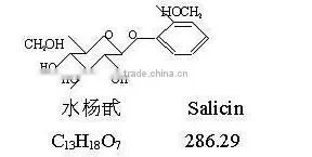 GMP Natural High Quality White Willow Bark Extract Salicin