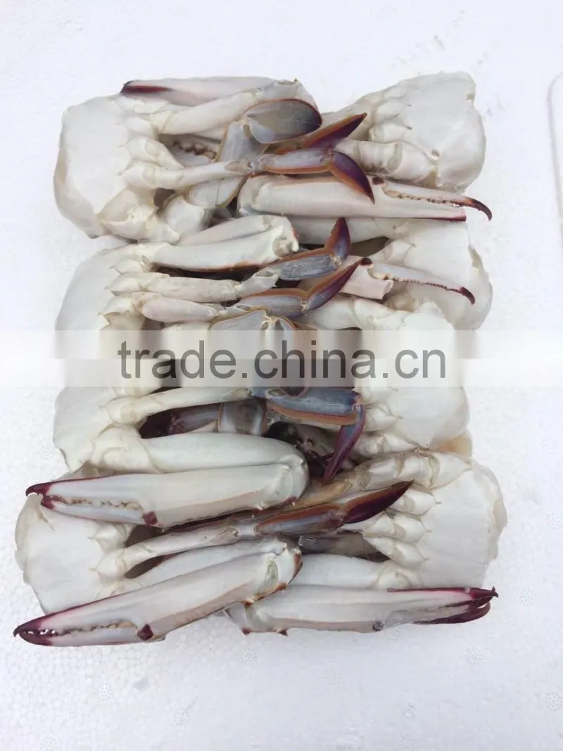 Frozen Blue Swimming Crab for hot sale