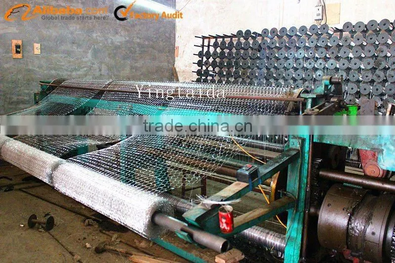 Galvanized Chicken Net