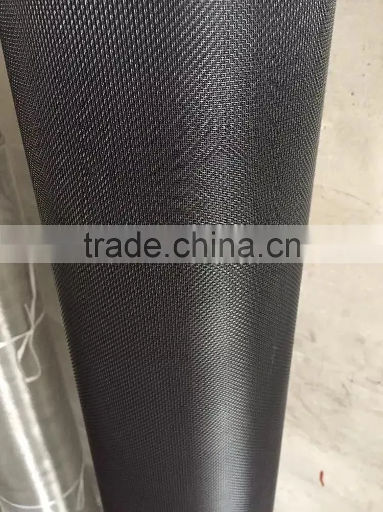 Premium quality black coated wire mesh/black coated ss wire mesh for window
