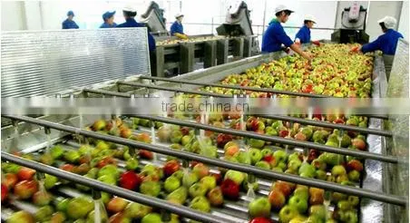 Juice Filling Production Line / Fruit Puree Machines