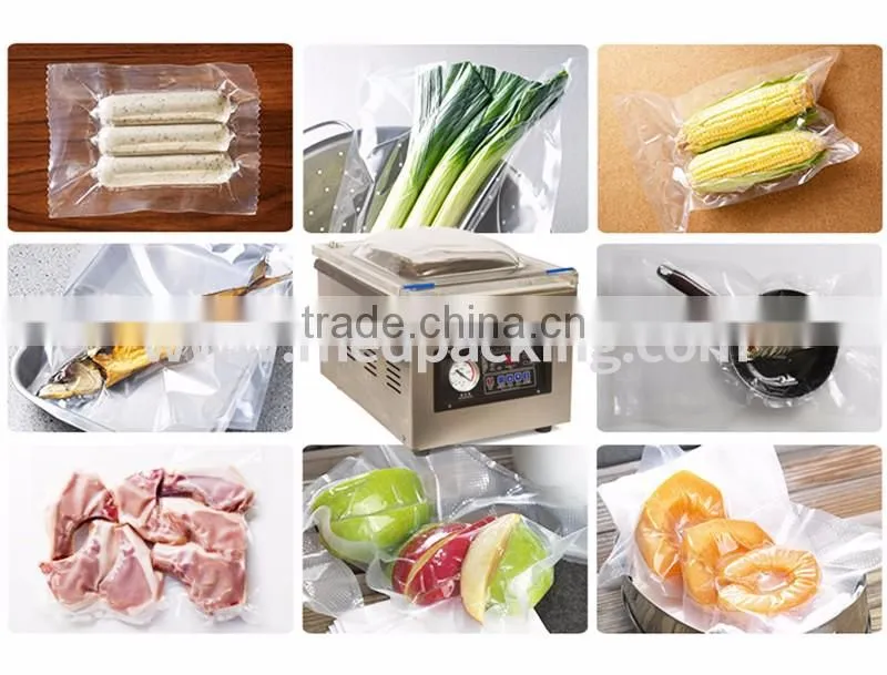DZ-260 Desktop vacuum packaging machine Stainless steel body
