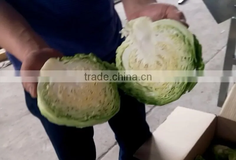 Fruit Vegetable Squash Half Cutting Machine