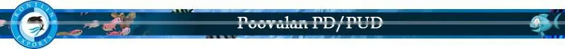 Standard Packed Frozen Poovalan PD/PUD Exporter