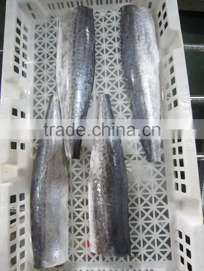 A grade quality frozen spanish mackerel fillets