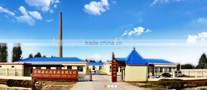 China Halal, Kosher FDA bakery instant dry yeast supplier