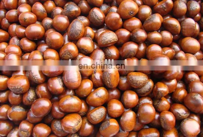 Large capacity automatic deburring chestnut husker machine for sale