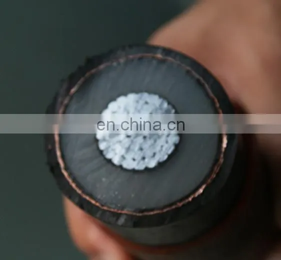 Hot Exporting XLPE Insulated Aluminum Cable NA2XY