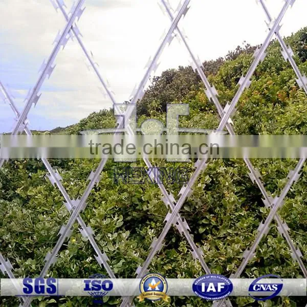 Hot Dipped Galvanized Welded Flat Razor Wire Fence