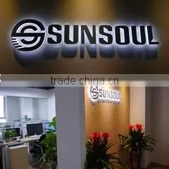 Ningbo Hi-Tech Zone Sunsoul Auto Accessories Co., Ltd. company overview - view 1