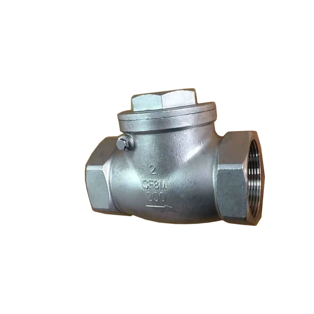 SS Check valve-01.jpg.webp