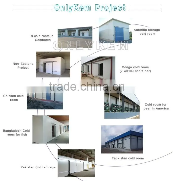 Copeland compressor R22 condensing units for cold storage
