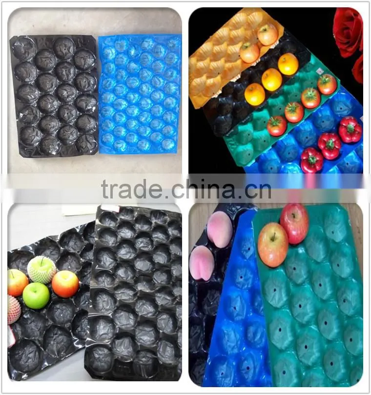 high quality OEM foam food packaging tray, strip EPS foam tray for packaging, EPS plastic foam meat tray