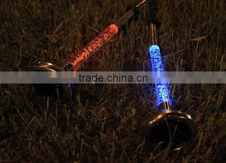 Stainless steel solar acrylic garden led light