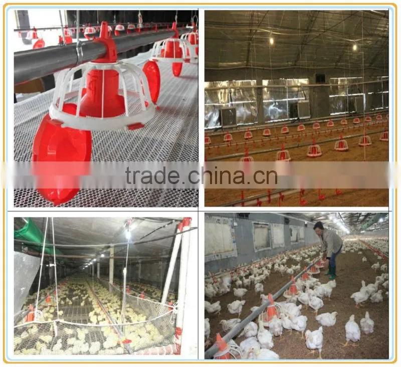 Automatic Pan Feeding Systems for chickens