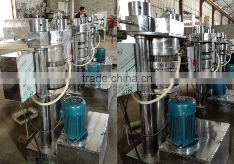 cactus corns oil extractor machine/cactus oil machine extractor