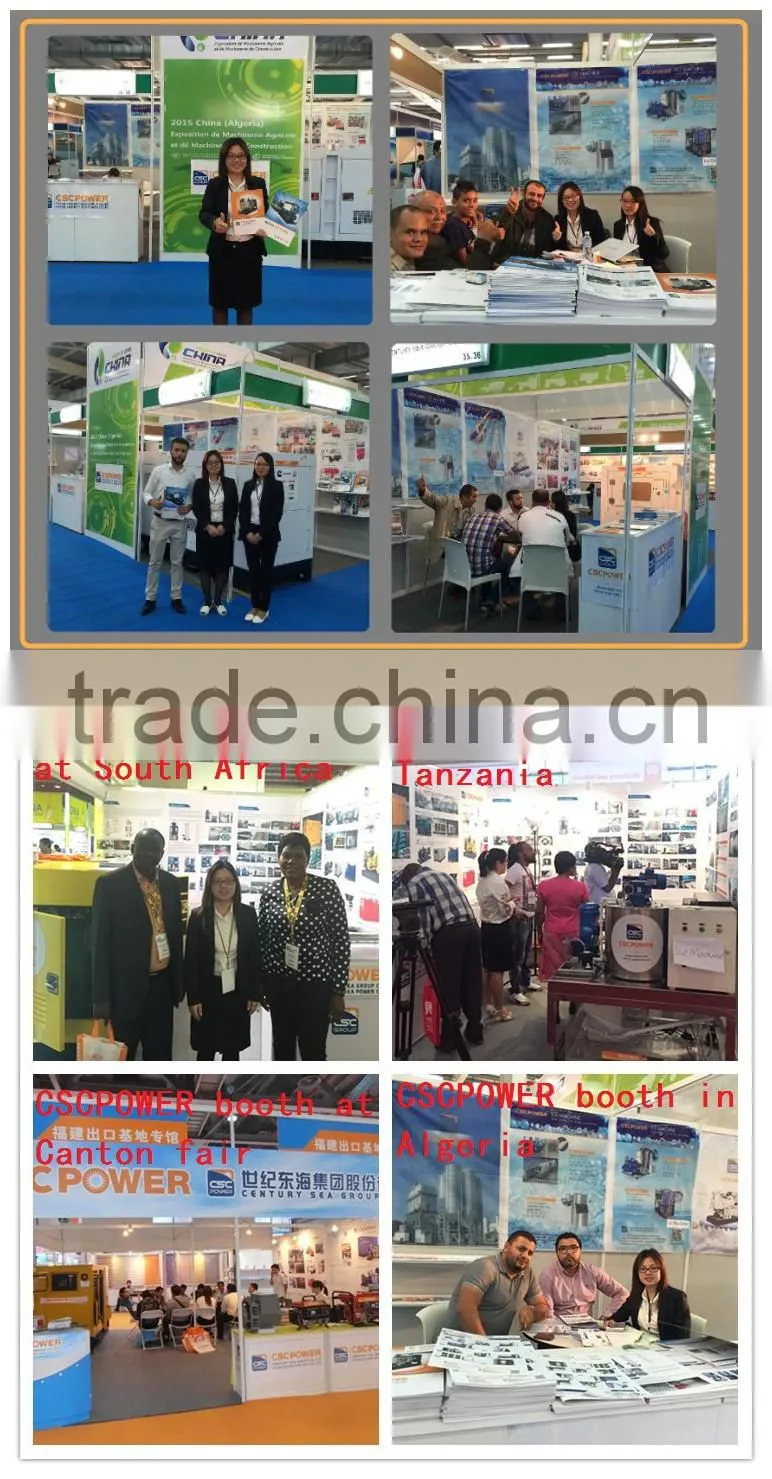 SIW250 CSCpower Automatic Electronic Ice Weighing and Packaging Machine