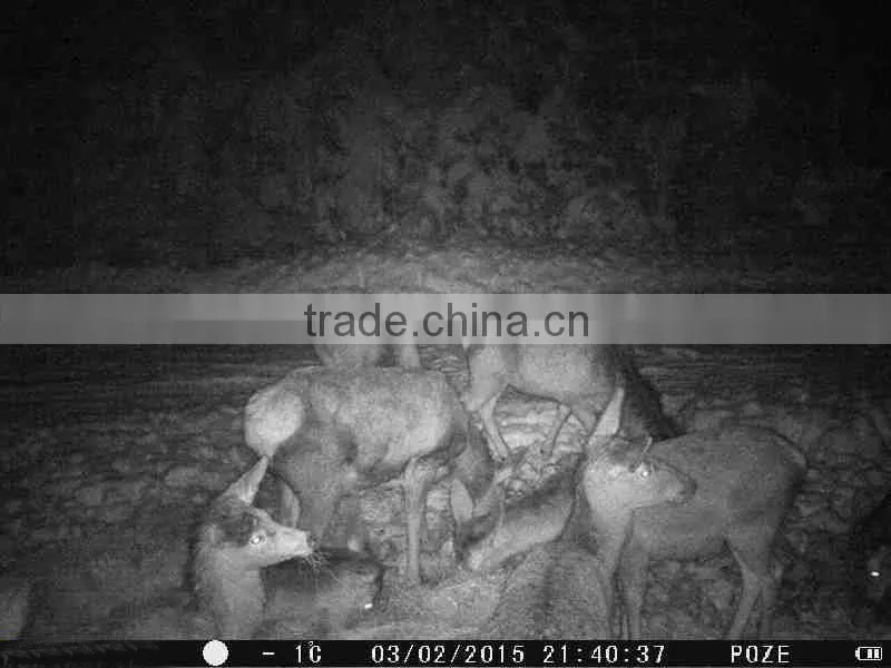 Waterproof PIR Motion Tracking Night Vision IR Scouting Hunting Camera