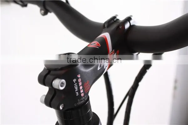 PAS pedal assistance mountain electric bike for sale(TDE15Z)
