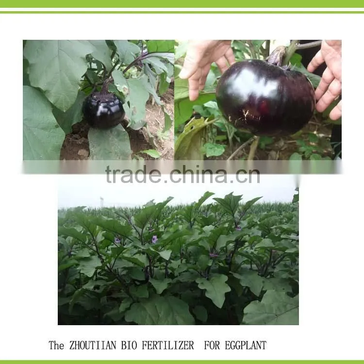 Silicate Bacterium bio potassium releasing bacteria powder organic fertilizer