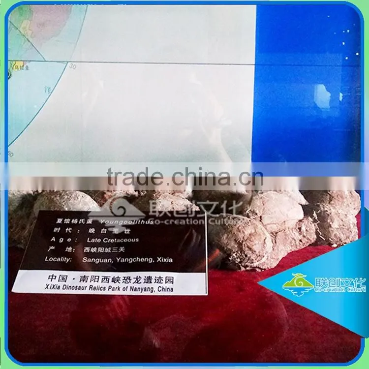 Dinosaurs eggs indoor equipment museum emulational dinosaur model
