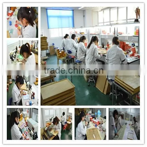 Medical Science Educational prepared slide wooden slides box