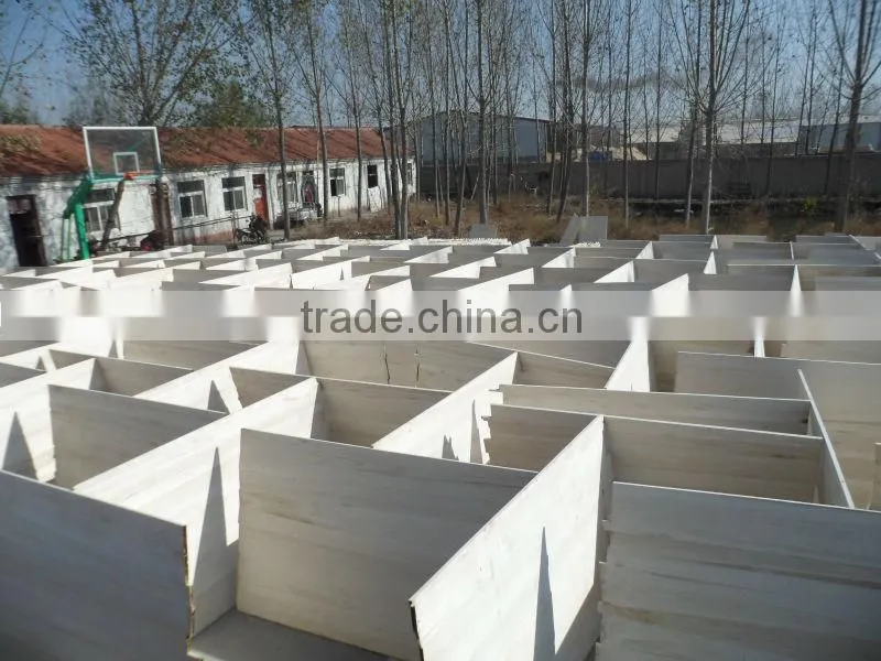timber wood paulownia