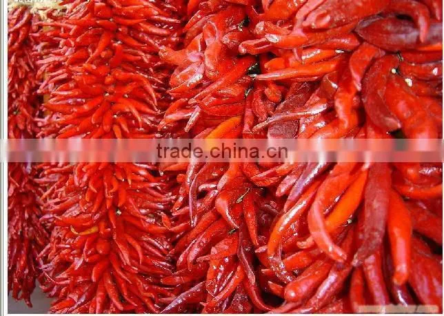 High quanlity Dry Red Hot chaotian chilli exporter from china