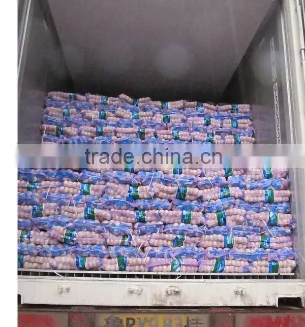 china organic fresh garlic