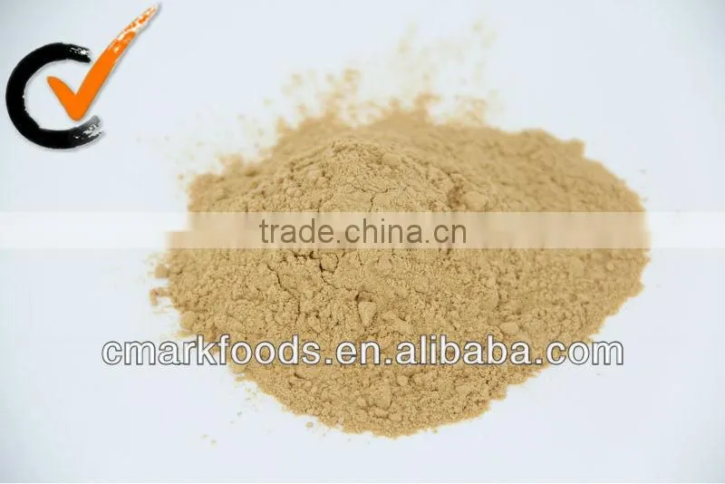 AD Ginger Powder , Dried vegetables