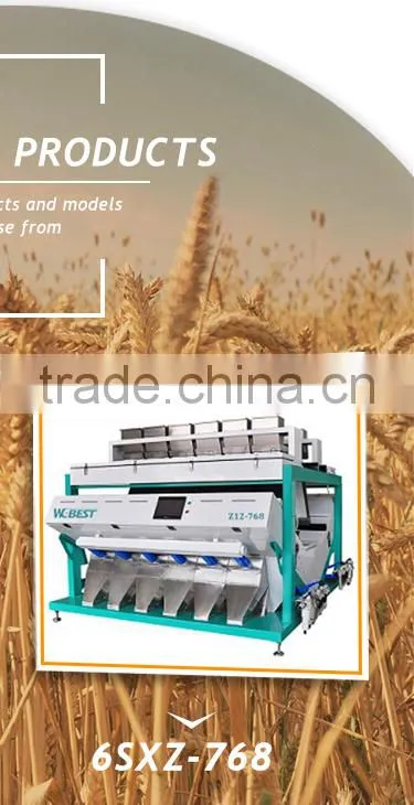 Dried Rosehip Sorting Machine CCD Color Sorter With High Quality