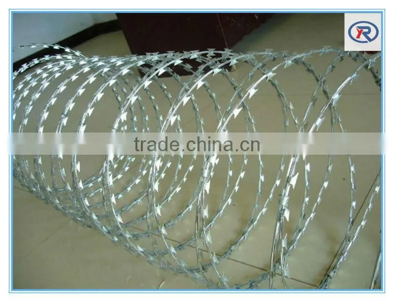 galvanized barbed wire