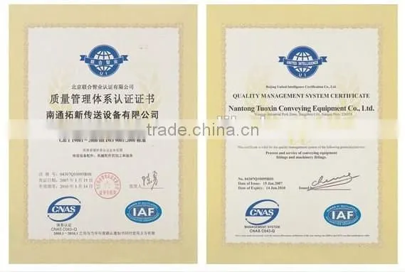 N250 Straight Run Case Conveyor Chains