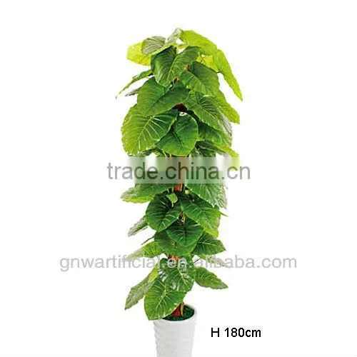 plant and tree nursery green mini plants indoor office GNW G120