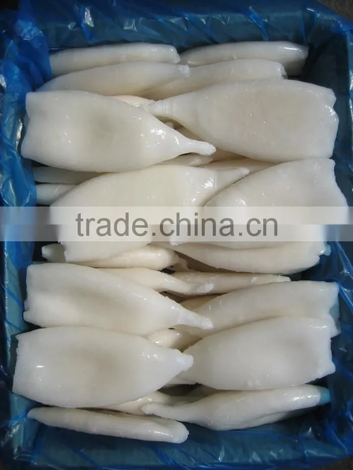 frozen Squid tube-Todarodes Pacificus