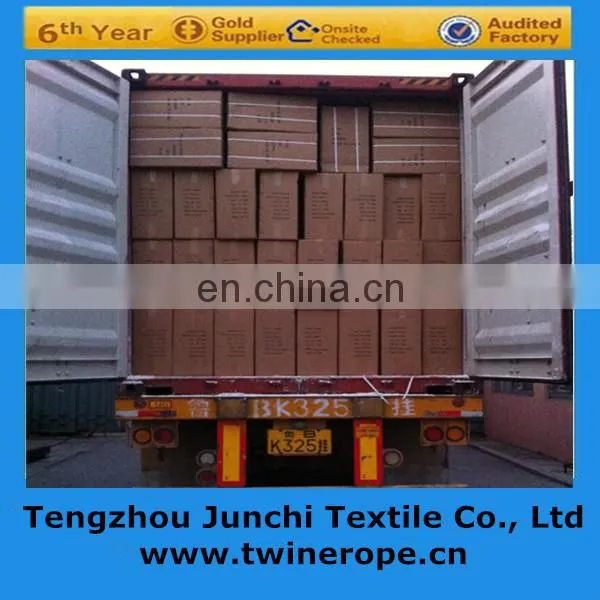 High tenacity pp multifilament polypropylene yarn