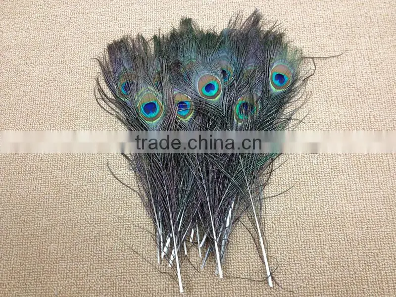 12-13"/30-35cm length Peacock Sword Feather Natural Green For Hats/Costume/Crafts