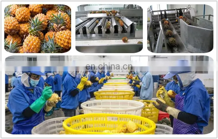 Hot sale fruit juice extractor/apple fruit juice making equipment/industrial apple juice press concentrate production line