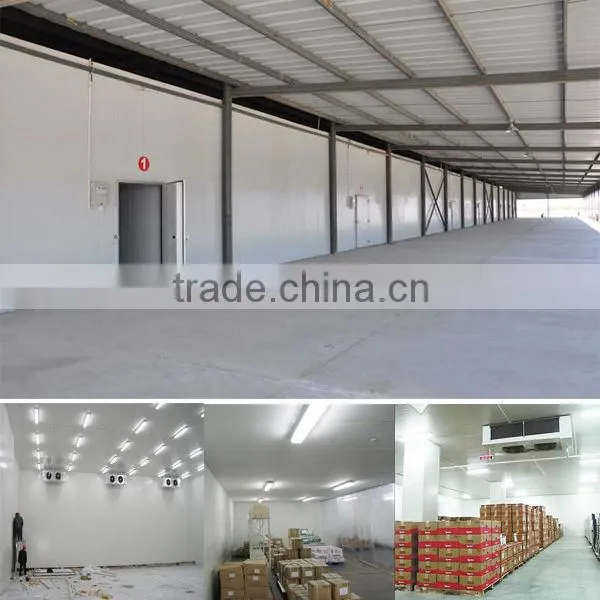 cold storage panels/insulated panels for cold storage/panels for cold storage prices
