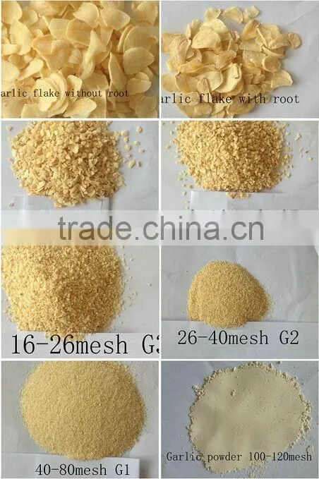 Organic dehydrated Garlic Powder