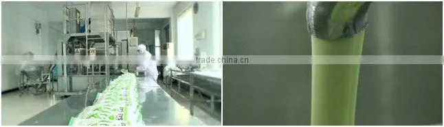 Wasabi powder high quality factory price