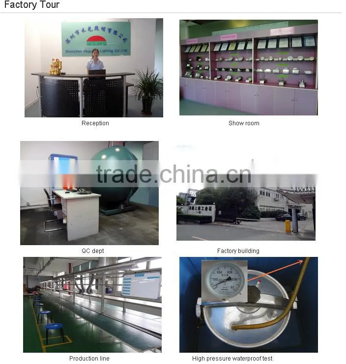 PAR30/PAR38 IP68 LED Underwater/Pool Light/lamp/ Underwater light