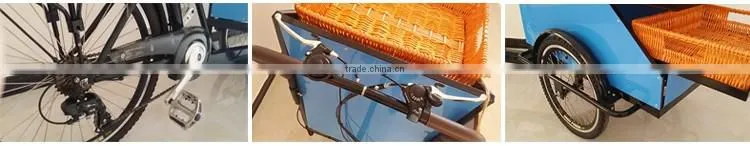 street vending retail bike for fruit vegetables