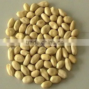 Traditional Type Peanut Kernels