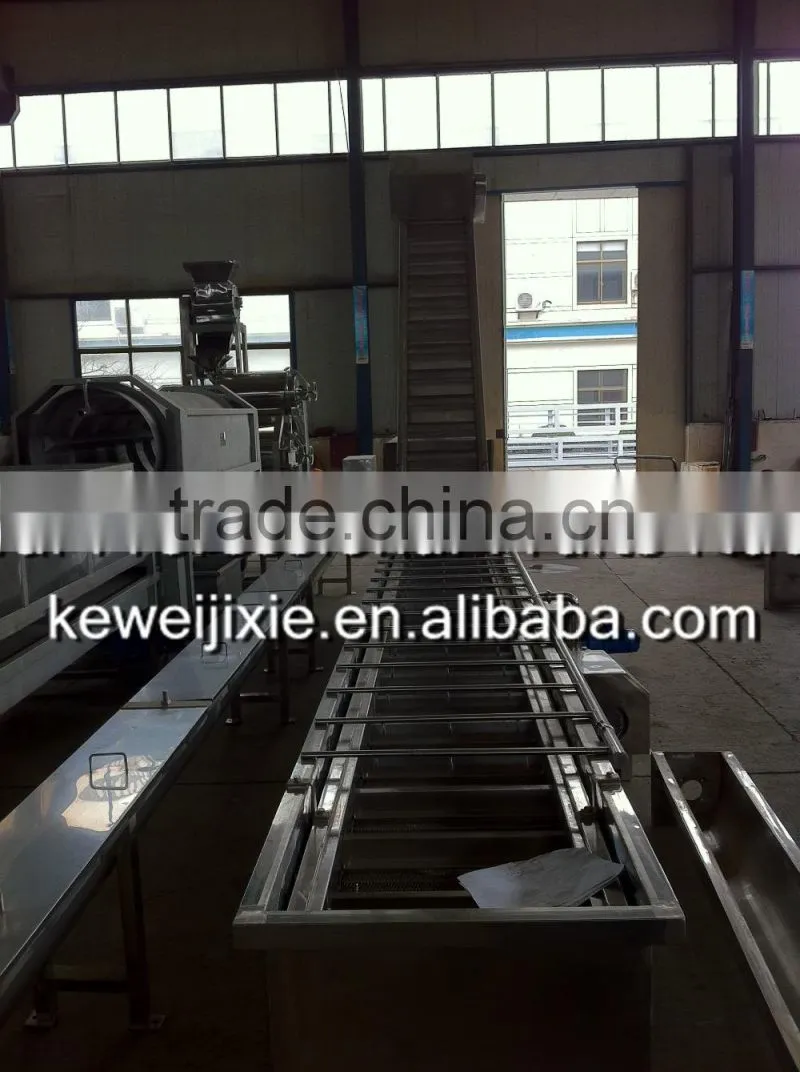 3 ton LXJ-3 Model showering (water bath) type berry fruit washer(Industrial berry fruits washer)