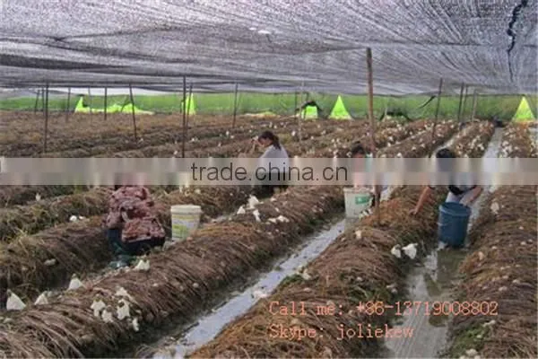 Green house sun protective breathable fabric uv protection netting