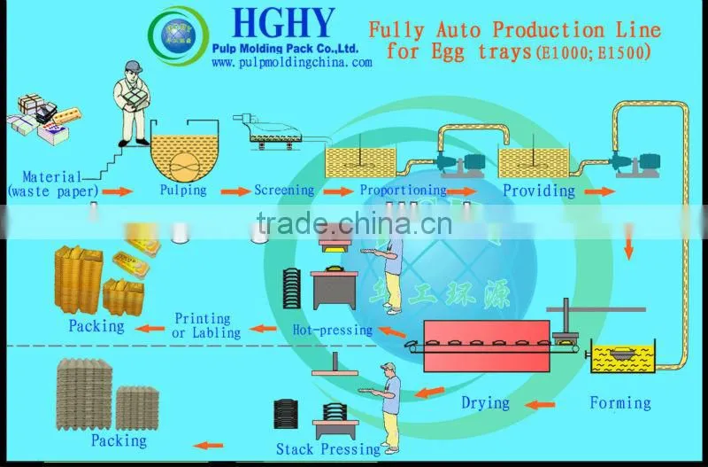 hghy egg tray molding machines export from China factory