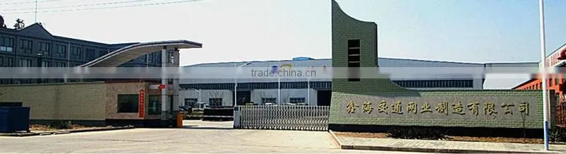 China manufacture galvanized wholesale razor barbed wire fence/razor wire