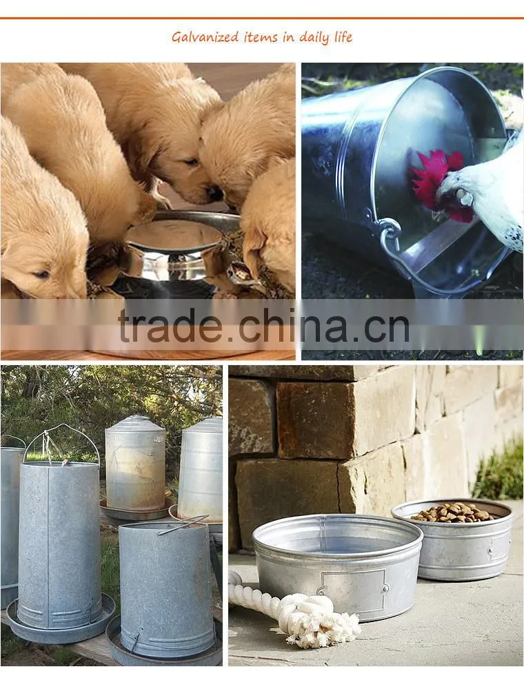 alibaba china Galvanised steel chicken feeder