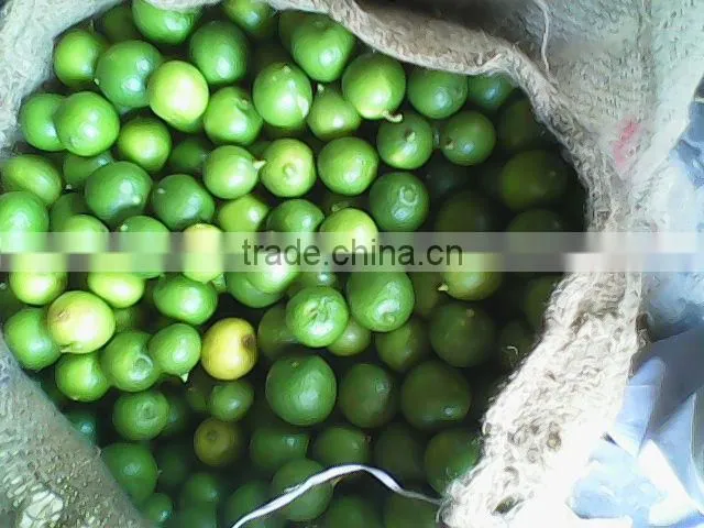 Lemons for Vodka
